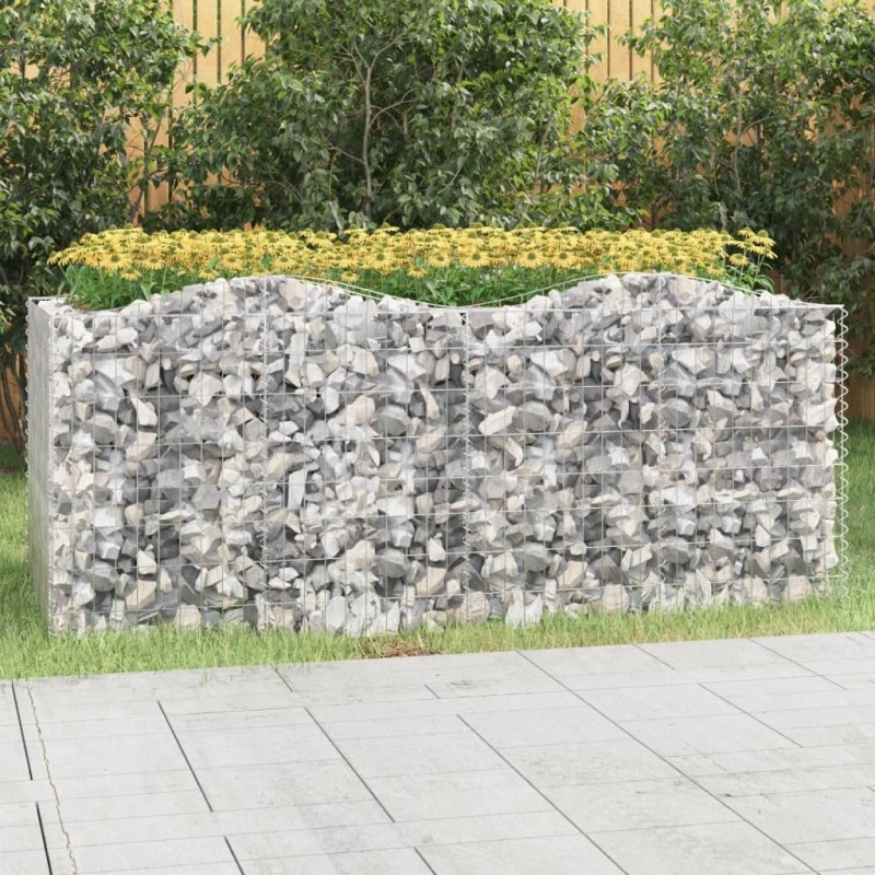 Lit surélevé à gabions arqué 200x100x100 cm Fer galvanisé 551556551556