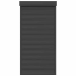 Store Roulant Anthracite 110 x 220 cm Aluminium et Polyuréthane 552033552033