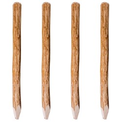 Poteaux pointus de clôture 4 pcs Bois de noisetier 120 cm 552118552118
