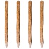 Poteaux pointus de clôture 4 pcs Bois de noisetier 120 cm 552118552118