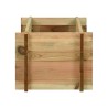Jardinière surélevée pour légumes Bois de pin imprégné 80 cm 552161552161