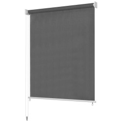 Store roulant d'extérieur 220 x 230 cm Anthracite 552655552655