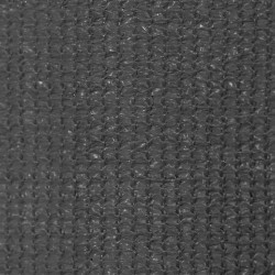 Store roulant d'extérieur 240 x 140 cm Anthracite 552657552657