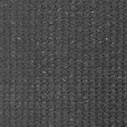 Store roulant d'extérieur 300 x 140 cm Anthracite 552658552658