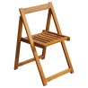 Chaises pliables de jardin lot de 2 Bois d'acacia solide 552701552701
