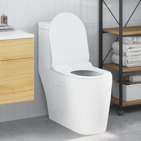 Siège de toilette Réglable Blanc 50 x 36,5 x 5 cm Polypropylène 552771552771