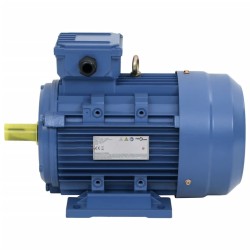 Moteur électrique triphasé Aluminium 3kW/4 CH 2840 tr/min 553042553042