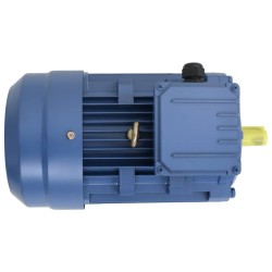 Moteur électrique triphasé Aluminium 4kW/5,5 CH 2840 tr/min 553043553043