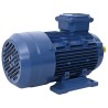 Moteur électrique triphasé Aluminium 2,2kW/3 CH 2840 tr/min 553052553052