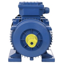 Moteur électrique triphasé Aluminium 2,2kW/3 CH 2840 tr/min 553052553052