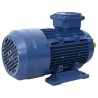 Moteur électrique triphasé Aluminium 1,5kW/2 CH 2840 tr/min 553053553053