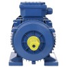 Moteur électrique triphasé Aluminium 1,5kW/2 CH 2840 tr/min 553053553053
