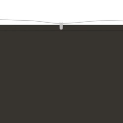 Auvent vertical Anthracite 100x800 cm Tissu oxford 553060553060