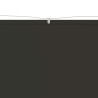 Auvent vertical Anthracite 100x1000 cm Tissu oxford 553061553061