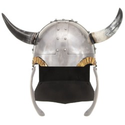 Casque de viking pour GN Argenté Acier 553285553285