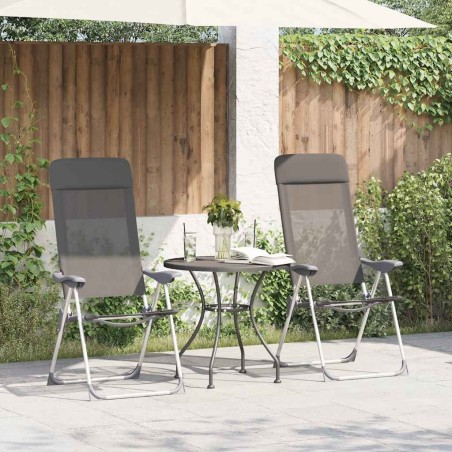 Chaises de camping pliables lot de 2 Gris Aluminium 553388553388