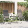 Chaises de camping pliables lot de 2 Gris Aluminium 553388553388