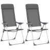 Chaises de camping pliables lot de 2 Gris Aluminium 553388553388