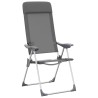 Chaises de camping pliables lot de 2 Gris Aluminium 553388553388