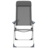 Chaises de camping pliables lot de 2 Gris Aluminium 553388553388