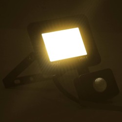 Projecteur à LED avec capteur 20 W Blanc chaud  553401553401