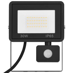 Projecteur à LED avec capteur 30 W Blanc froid 553405553405