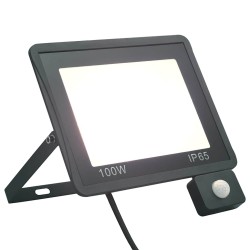 Projecteur à LED avec capteur 100 W Blanc froid 553408553408