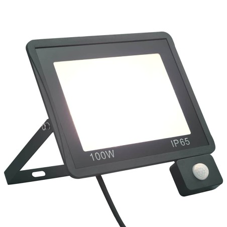 Projecteur à LED avec capteur 100 W Blanc froid 553408553408