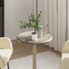 Dessus de table Gris Ø40x2,5 cm Marbre 553432553432