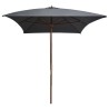 Parasol d'extérieur avec mât en bois 200x300 cm anthracite 553444553444