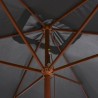 Parasol d'extérieur avec mât en bois 200x300 cm anthracite 553444553444