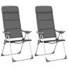 Chaise de camping lot de 2 Gris 58x69x111 cm Aluminium 553459553459
