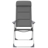 Chaise de camping lot de 2 Gris 58x69x111 cm Aluminium 553459553459