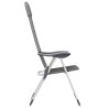 Chaise de camping lot de 2 Gris 58x69x111 cm Aluminium 553459553459