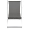 Chaises de plage pliables lot de 2 Aluminium et textilène Gris 553550553550