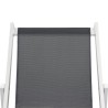 Chaises de plage pliables lot de 2 Aluminium et textilène Gris 553550553550