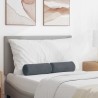 Coussins d'accent 2 pcs Gris foncé Ø 15 x 40 cm 553654553654
