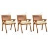 Chaises à manger de jardin avec coussins lot de 3 Acacia massif 553730553730