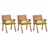 Chaises à manger de jardin avec coussins lot de 3 Acacia massif 553740553740
