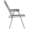 Chaise pliante de camping lot de 2 52 x 59 x 80 cm Gris 553749553749
