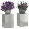 Support de Plante 2 pcs Argent 24 x 24 x 35 cm Acier inoxydable 553818553818