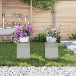 Support de Plante 2 pcs Argent 24 x 24 x 35 cm Acier inoxydable 553818553818