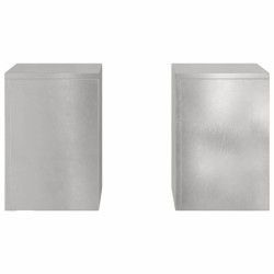 Support de Plante 2 pcs Argent 24 x 24 x 35 cm Acier inoxydable 553818553818
