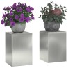 Support de Plante 2 pcs Argent 24 x 24 x 35 cm Acier galvanisé 553819553819