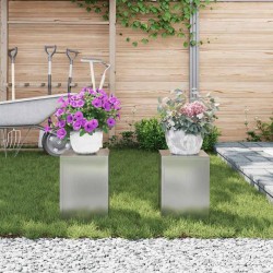 Support de Plante 2 pcs Argent 24 x 24 x 35 cm Acier galvanisé 553819553819