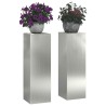 Support de Plante 2 pcs Argent 24 x 24 x 75 cm Acier galvanisé 553820553820