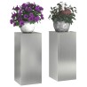 Support de Plante 2 pcs Argent 24 x 24 x 55 cm Acier galvanisé 553890553890