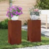 Support de Plante 2 pcs Rouillé 24 x 24 x 55 cm Acier patiné 553892553892