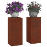 Support de Plante 2 pcs Rouillé 24 x 24 x 55 cm Acier patiné 553892553892