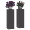 Support de Plante 2 pcs Noir 24 x 24 x 75 cm Acier 553896553896